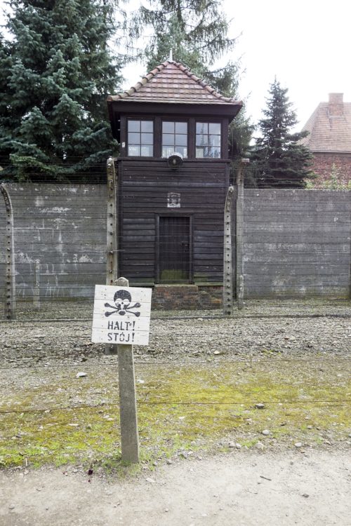 POLAND - Auschwitz_WP