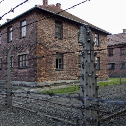 POLAND - Auschwitz_WP